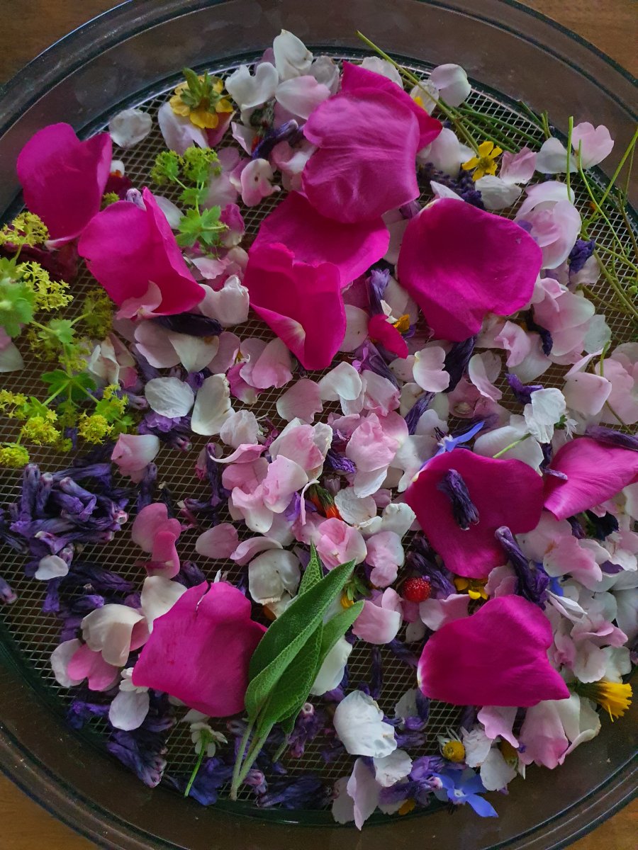 zum Trocken für Tee, Räuchern Rosenblüten